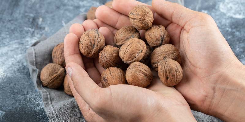 a handful of walnuts