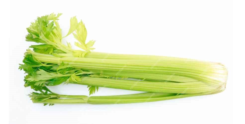 picture of celery